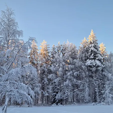 Yllaes-helmi - Loistosijainti! *