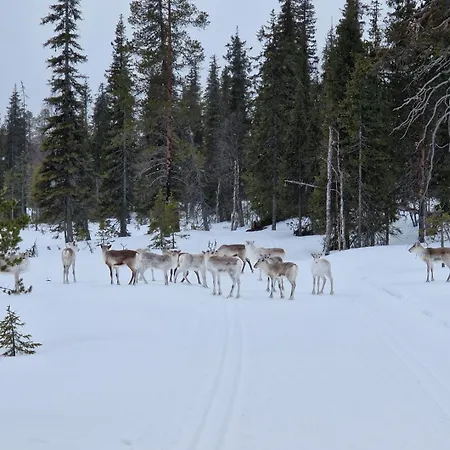 Yllaes-helmi - Loistosijainti! Apartment Äkäslompolo