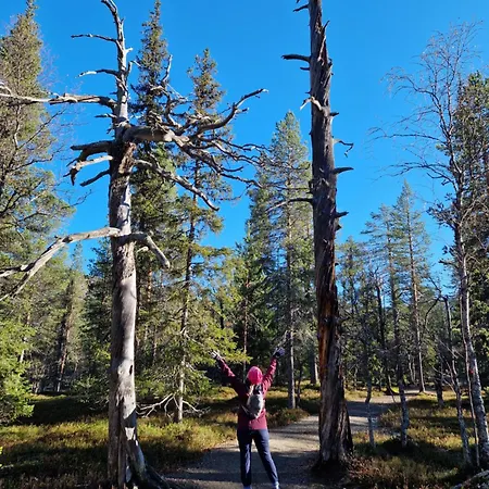 Yllaes-helmi - Loistosijainti! Apartment Äkäslompolo