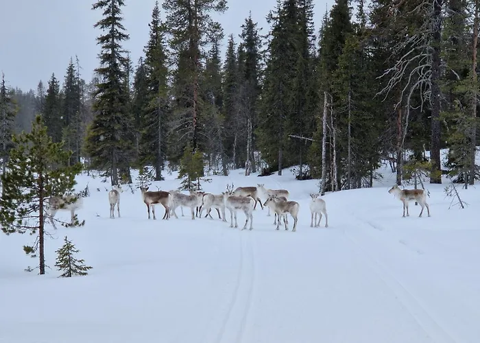 Yllaes-helmi - Loistosijainti! Apartamento Äkäslompolo