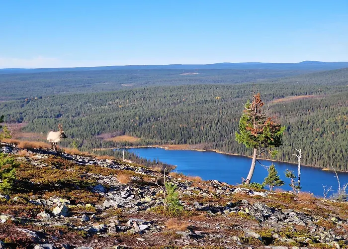 Yllaes-helmi - Loistosijainti! Lägenhet Äkäslompolo