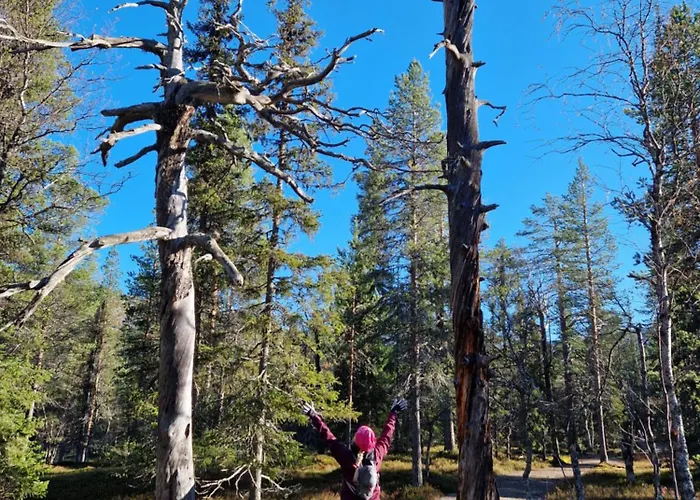 Yllaes-helmi - Loistosijainti! Apartamento Äkäslompolo